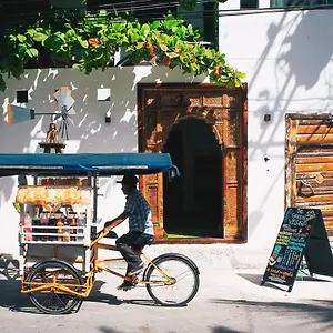 Отель The Village Boutique, Плая-дель-Кармен